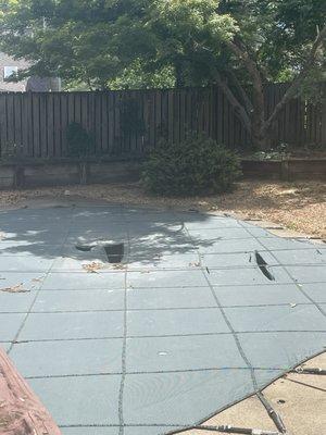 Total Pools and Service