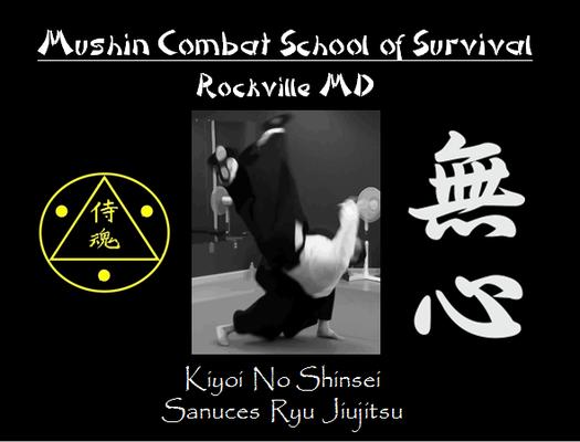 Mushin Combat