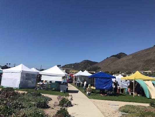 Art In The Park Shell Beach