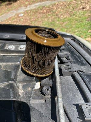 I received an oil change 2 weeks ago !!! This is my filter that was taken out today!!!!
