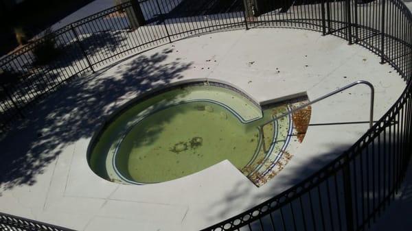 The jacuzzi never clean and green