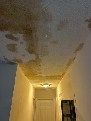 Durham Community Land Trustee