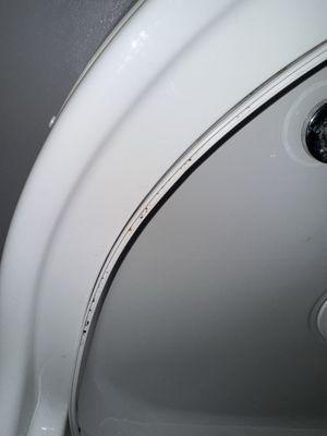 Mold in the shower!!!