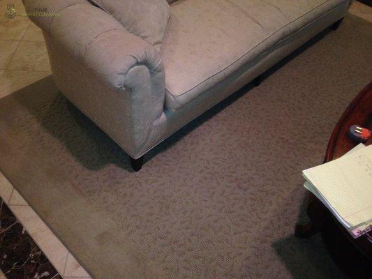 Tulip Carpet Cleaning Carrollton