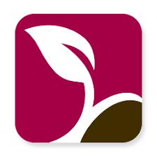 Red Bud Illinois Hospital Company LLC