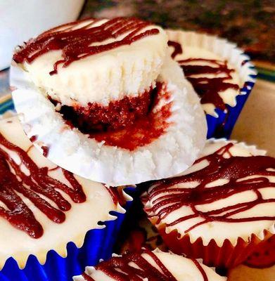 Tonkas Treats Craveable Cheesecake Minis