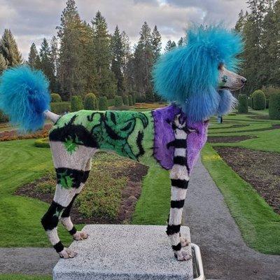 Dream It Be It Pet Salon