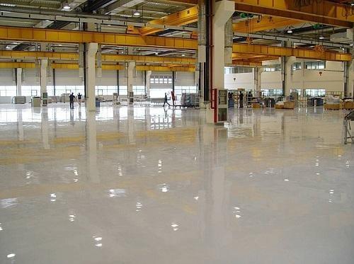 True Colors Painting Inc