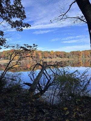 Arthur & Mildred Woollam Nature Preserve
