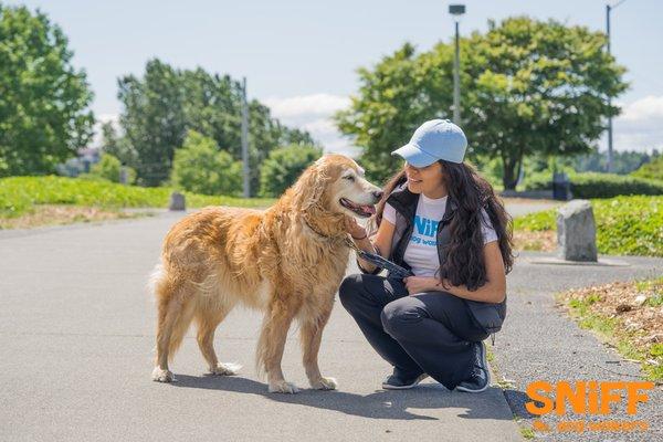 SNIFF Dog Walkers - sniffdogwalkers.com