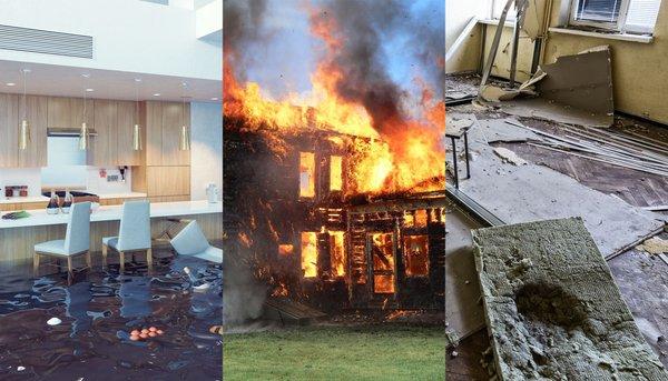 Restoration 1 of Oakland