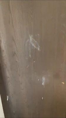 Bedroom Closet Door