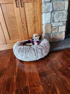 Chelanda's housekeeping and concierge