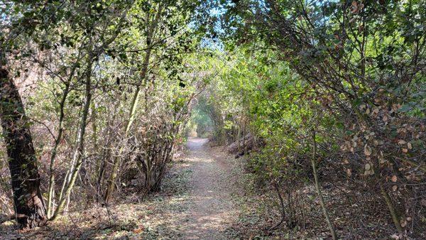 Blue Sky Ecological Reserve