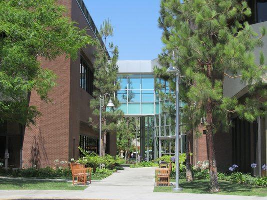 Synovation Medical Group - Torrance