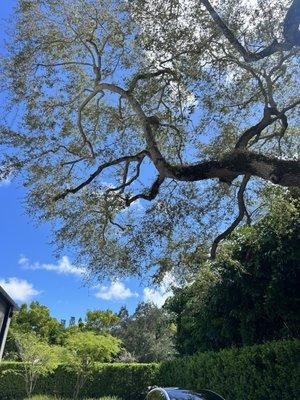 Le Jardin Community Center