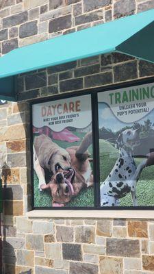 Paw Oasis Pet Resort & Spa