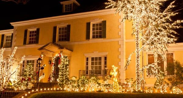 Holiday Lights...so pretty!