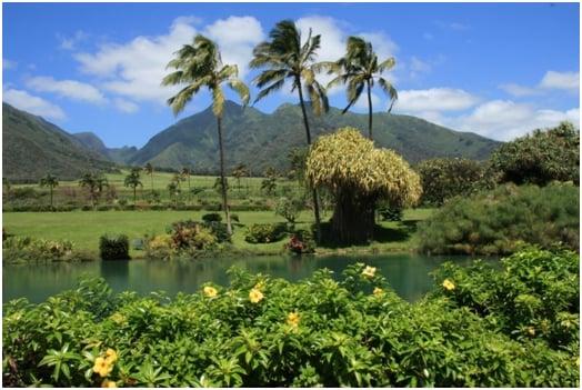 Dreamin' of the South Pacific?