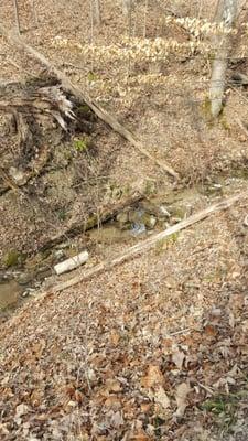 Boone Cliffs State Nature Preserve