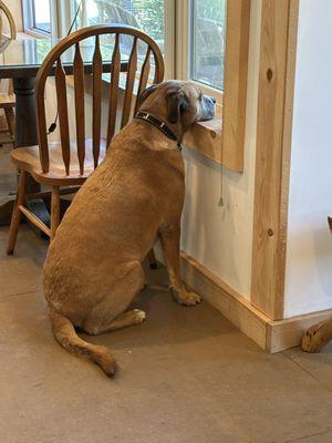 Tracy's Rustic Relics