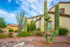 Suzanne Del Vecchio Homes