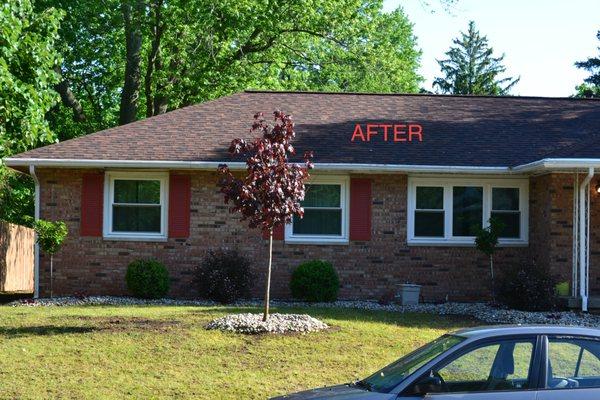 Arbor Care Tree & Landscaping