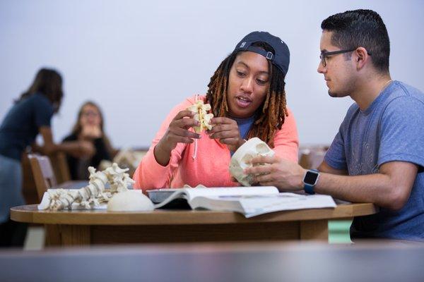 Northeast College of Health Sciences