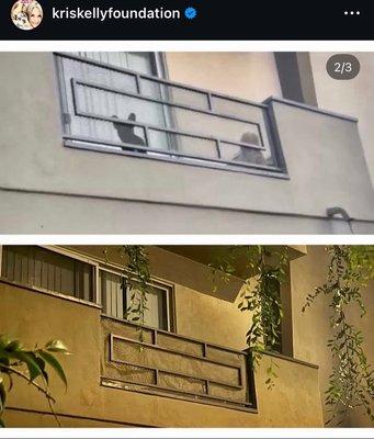 dogs out in the balcony for days unattended with no food or water with feces & urine all over the balcony.