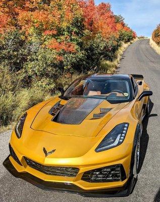Vette