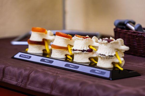 Recovery Chiropractic