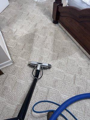 Elite Carpet Tile and Grout Cleaning