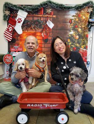 Brown Brothers Auto Body