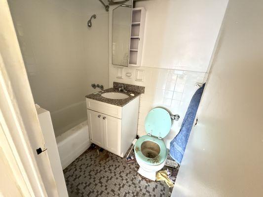 Brussels and Marseilles