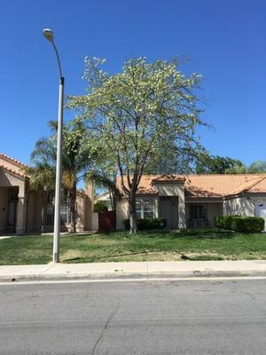 Trimming Land Company