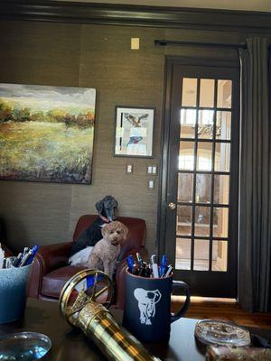 Potomac Animal Hospital