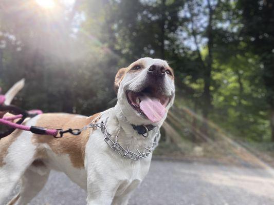 Here we are, 3 happy years later. Photo credit: Puppy Loving Care