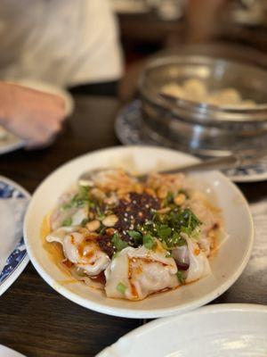 spicy wontons pork & shrimp(10)