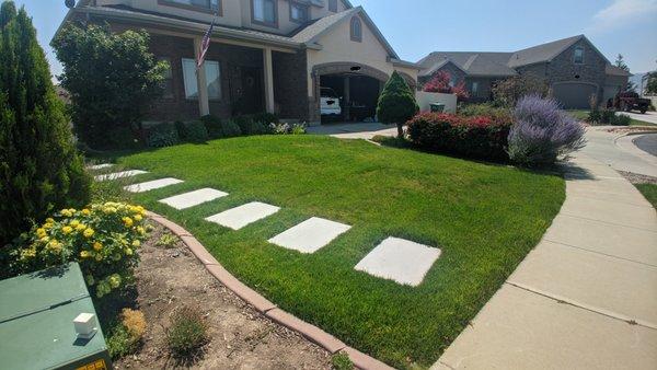 5 months in. Lawn is looking great and healthy. No visible lines.