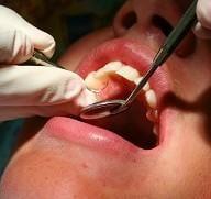 Martin J Pastucka, DDS