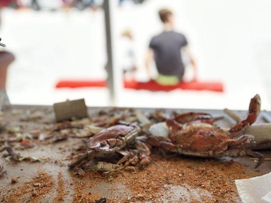 Assateague Crab House
