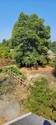 Auburn Green Landscaping