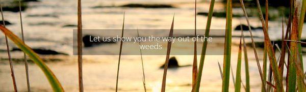 Let us show you the way out of the weeds
