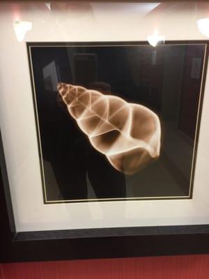 Wyndham Garden Hotel