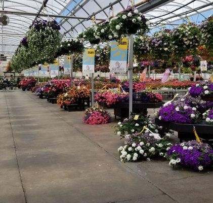 Koetsier's Greenhouse