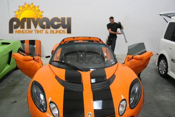 Privacy Window Tint & Blinds