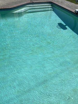 California Pool Service