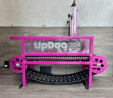 UpDog Gym