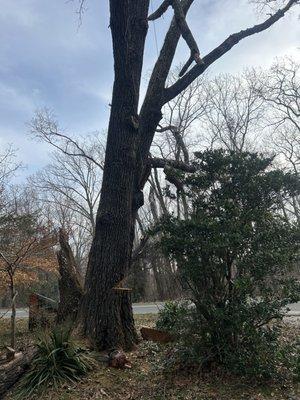 Up and Above Outdoor Services