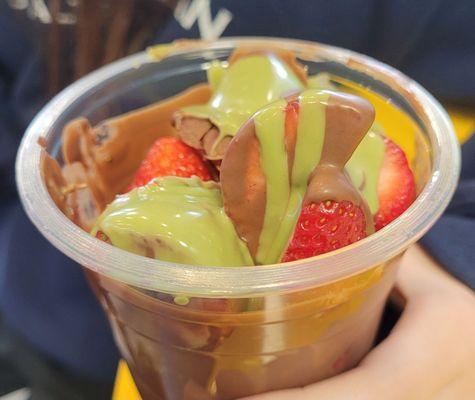 Everest Frozen Yogurt & Bubble Tea